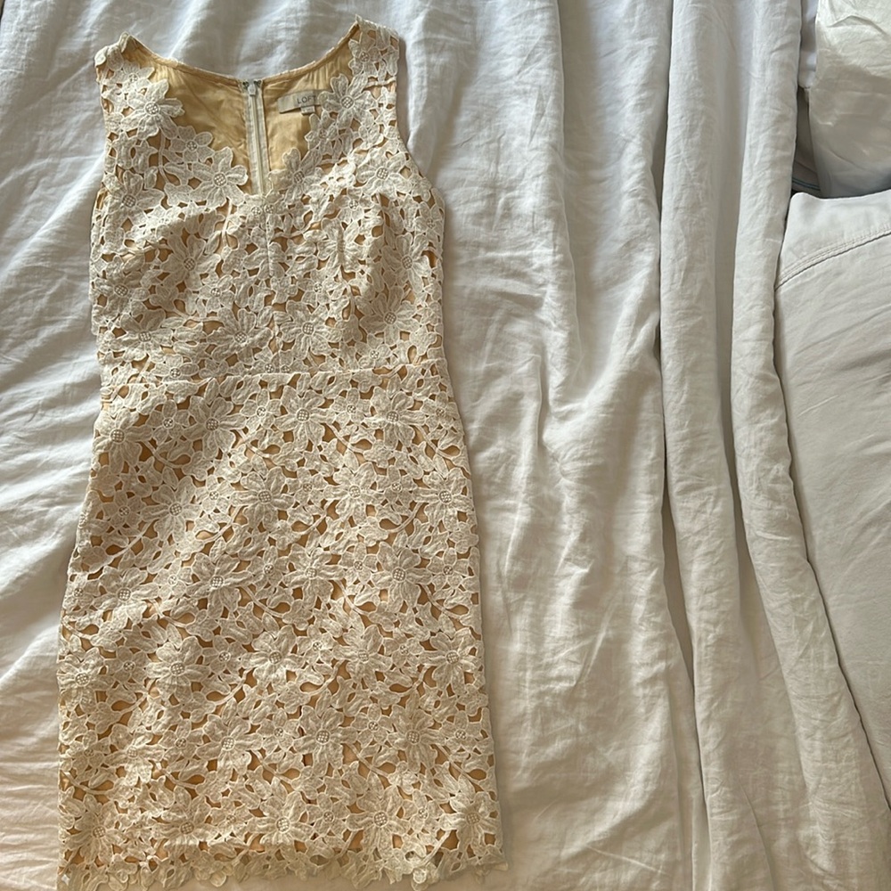 Crochet/Embroidered Loft Dress Sheath